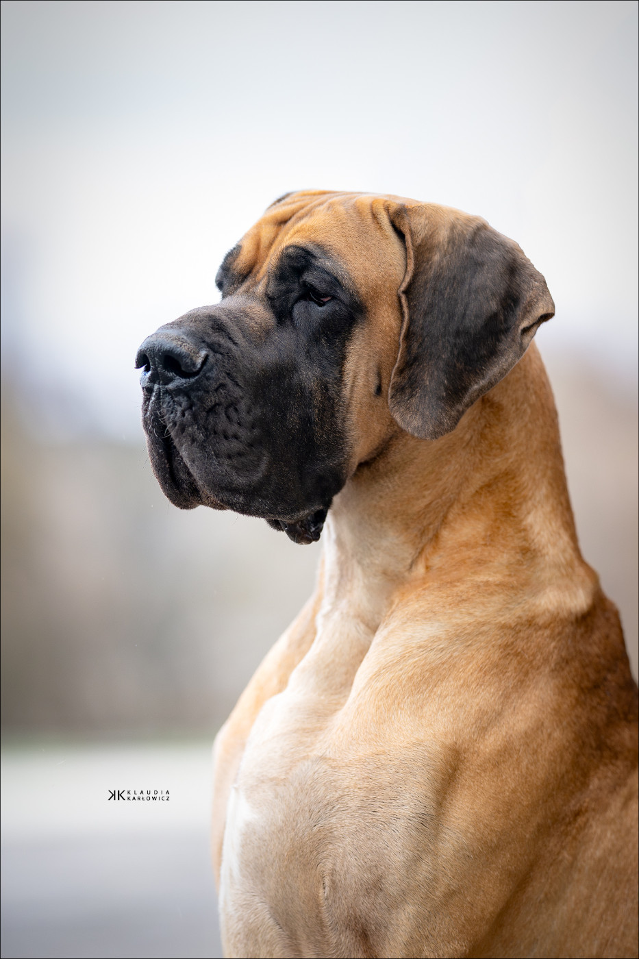 CH. All of Me del piccolo jigo